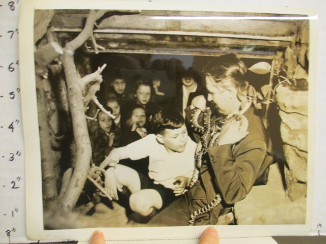 ABC TV radio show photo 1940s QUIZ KIDS Joel Kupperman Chicago Zoo snakes