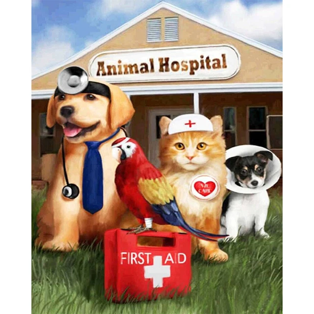 Kit de decoración de pared de dibujo pintado a mano pintura al óleo por números hágalo usted mismo perro gato médico dibujo