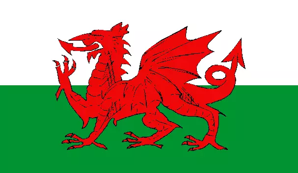 Wales Fahne ca. 90x150 cm mit Ösen 150x90 Flag Hiss Flagge Deko WM EM