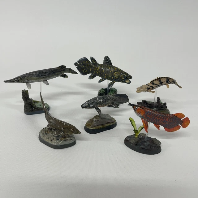 COLORATA FOSSIL FISH Mini Figure Figurines Display Set - Some Retired