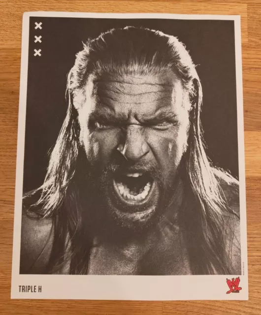 ART CARD - WWE Wrestling Magazine Art Card Supplement Triple H A4-Size