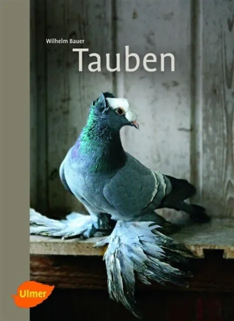 Tauben | Buch | 9783800179756