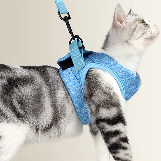 Harnais légers pour animaux de compagnie Sangle de traction pour chat créative 3