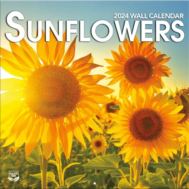 TURNER LICENSING, Sunflowers 2025 Wall Calendar 16.37 PicClick