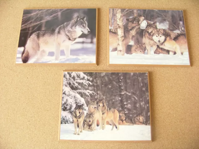 Wolf Wolves Three pictures mounted on particle board wall hangings 7.9" x 9.9"