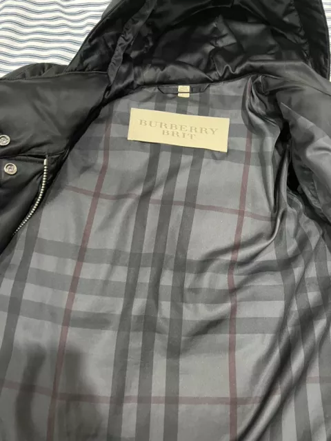 Burberry Brit 'Altberry' Toggle Front Quilted Down Parka 3