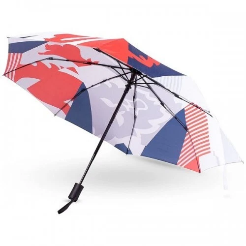 England FA Folding Umbrella (BS3381)