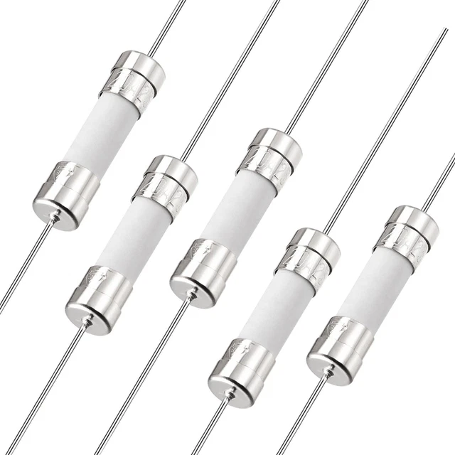 Fusibles Coup Rapide Fil Conducteur Fusibles Céramique 5mm x 20mm 250V F20A 5Pcs