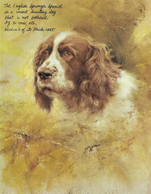 ** English Springer Spaniel - CUSTOM MATTED - Vintage Dog Print - Poortvliet