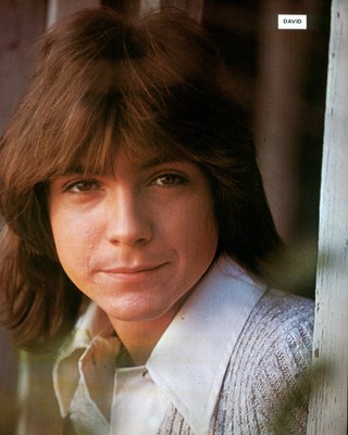 DAVID CASSIDY POSTER Page . The Partridge Family . Ps75P £6.99 ...