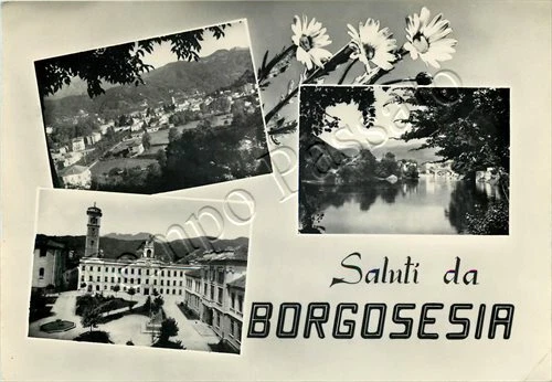Cartolina Saluti da Borgosesia, panorama e margherite - Vercelli