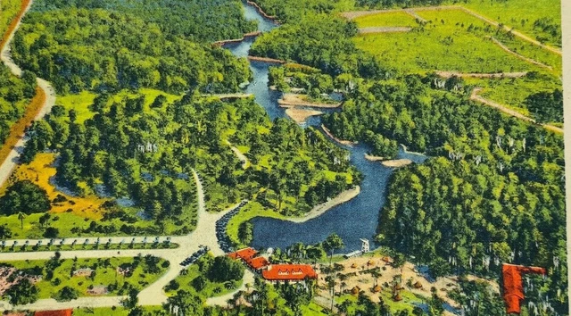 Airplane View Silver Springs Florida FL Linen Postcard Vintage Unused Souvenir