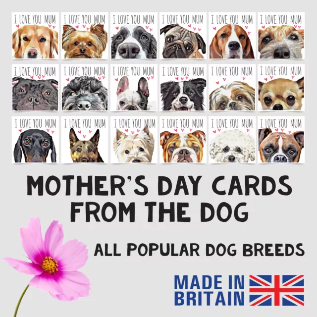 Mother's Day Card From The Dog Cute Pet Women Wife Mum Mother Mom Popular Breeds