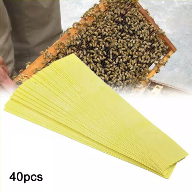 40 Bandes Apiculture Fluvalinate Bee Mite Varroa   Bande