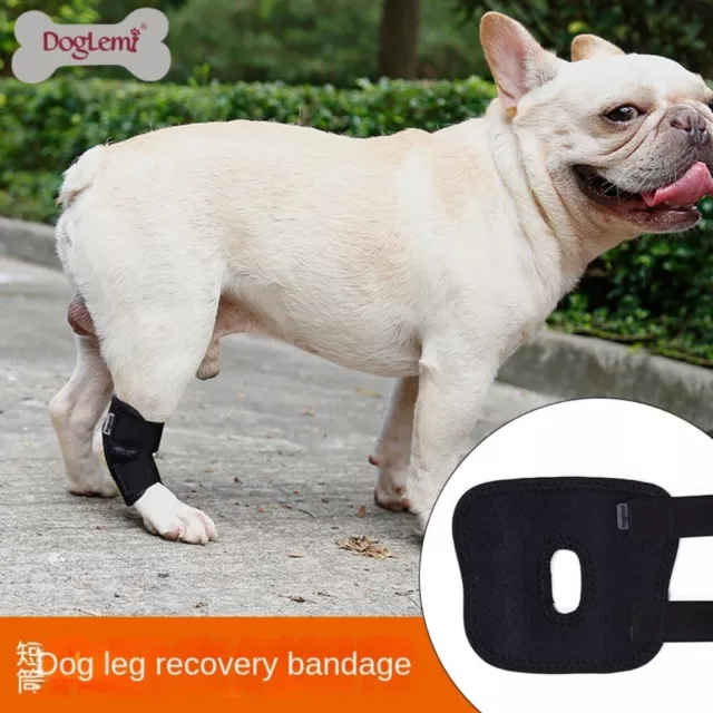 Soporte de pierna para perro Dogs Hock Joint Brace Rodilleras para mascotas