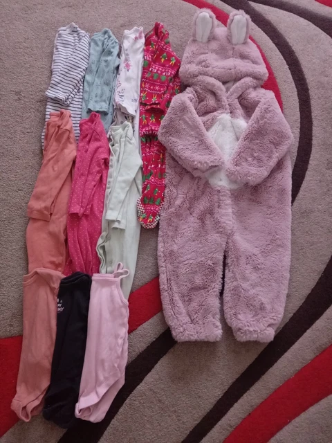 Baby Girls Clothes Bundle  12-18 Months