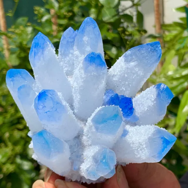 406G New Find sky blue Phantom Quartz Crystal Cluster Mineral Specimen Healing