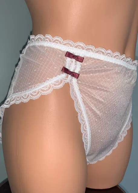 SHEER Glossy Whisper Chiffon Panties Hi Cut Brief Panty 2X 9 Girly 4 satin Bows 3