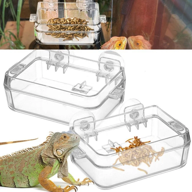 Feeding Watering Supplie Anti-Escape Feeder Transparent Lizard Feeder  Reptiles
