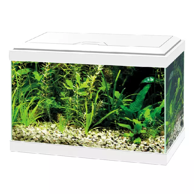 Ciano Aqua 20 White LED Small Starter Kit Fish Tank