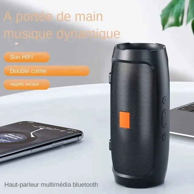 Enceinte Bluetooth Puissante Surround Stéréo 360° Portable sans Fil Étanche IPX7