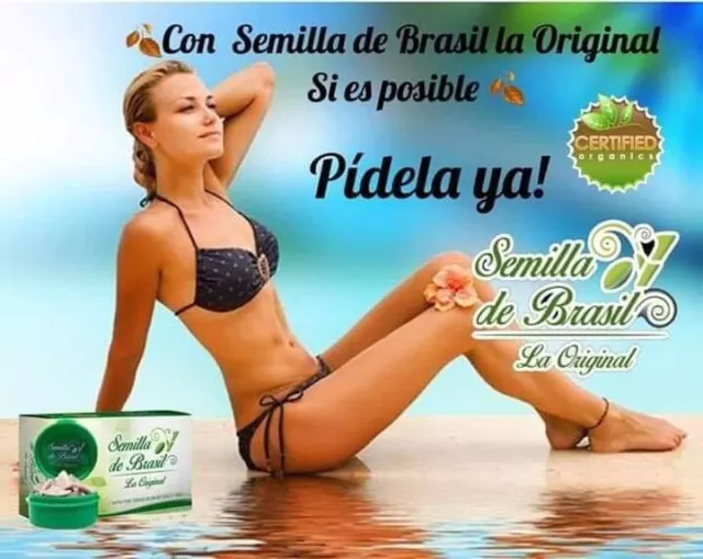 Semilla De Brasil