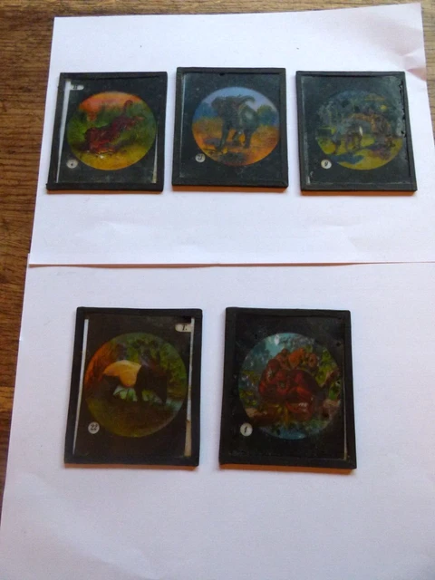 LOT 17 Plaques Lanterne Magique | Perrault Cendrillon Barbe Bleue | Dessins Peints