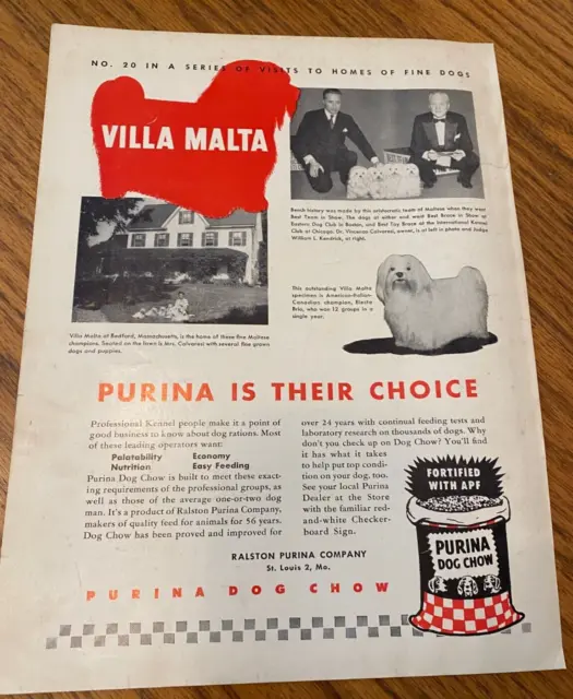 Vintage Purina Dog Chow Ad - Maltese