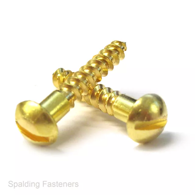 SOLID BRASS SLOTTED ROUND DOME HEAD WOOD SCREWS 2g 3g 4g 6g 8g 10g 12g BS1210