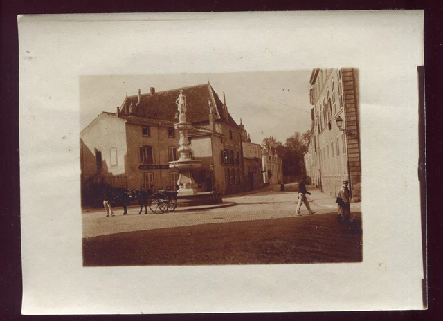 12 Plaques De Verre E.MAZO N°259 - Lanterne Magique - Saint Bernard Chien