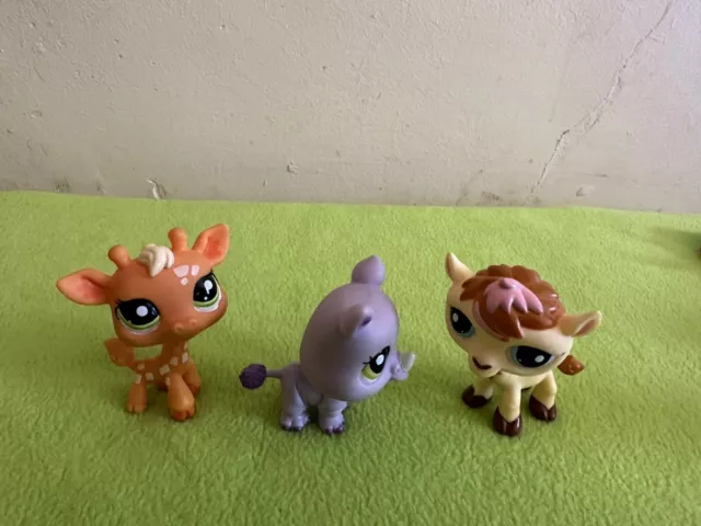 Lps camel hot sale