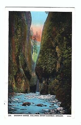 Columbia River Highway Oregon, Oneonta Gorge Vintage Postcard