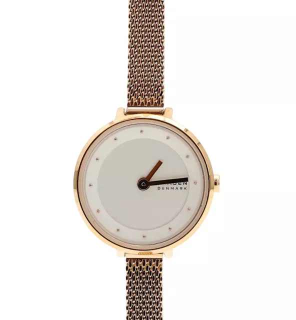 Reloj de dos manos Skagen 1093 para mujer oro rosa SKW3043 22 mm Gitte Lille