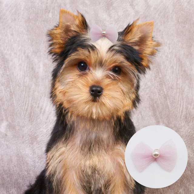 10pcs Pet Headdress Lovely Stylish Pearl Embellishment Pet Headdress Portable