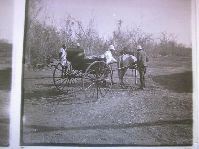 Photo Animated Stereoscopic Plate Dahomey Carriole Cheval circa 1910 Benin