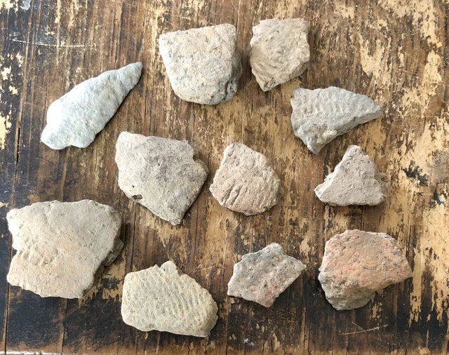 Lot of NJ Native American Pottery Sherds & 1 Argillite Arrowhead Bridgetown, NJ