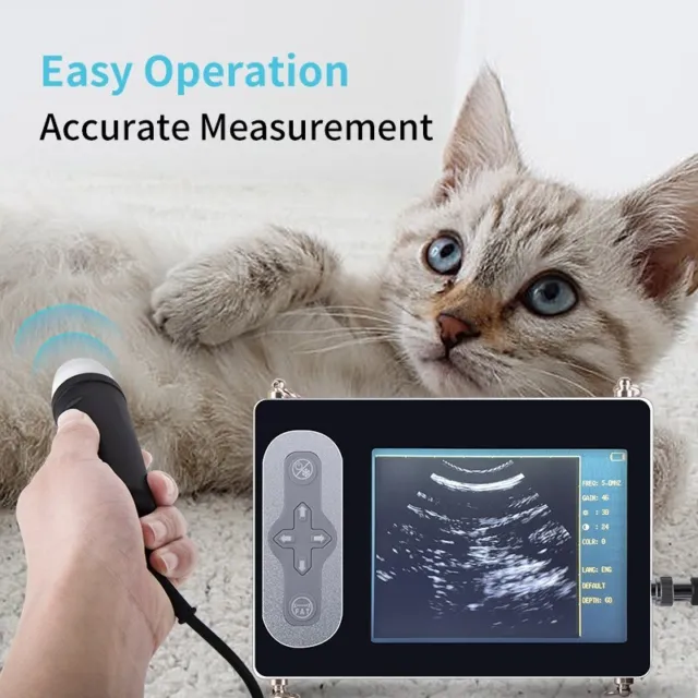 Veterinary Ultrasound Scanner Animals Ultrasound Pregnancy Testing Machine Color