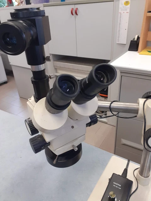 Image of Levenhuk LabZZ M1 Microscope eBay website