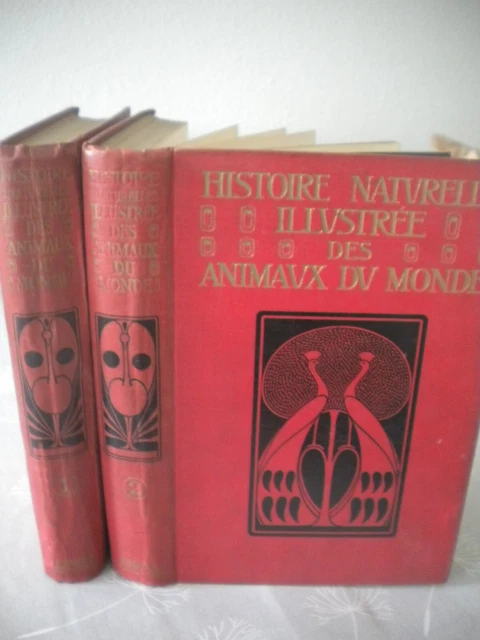 Histoire Naturelle Illustrée - Les Animaux - Livre En Français