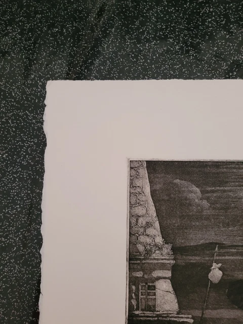 Lithographie signée et numérotée décor d'oiseau et de chat signature à identifie 7
