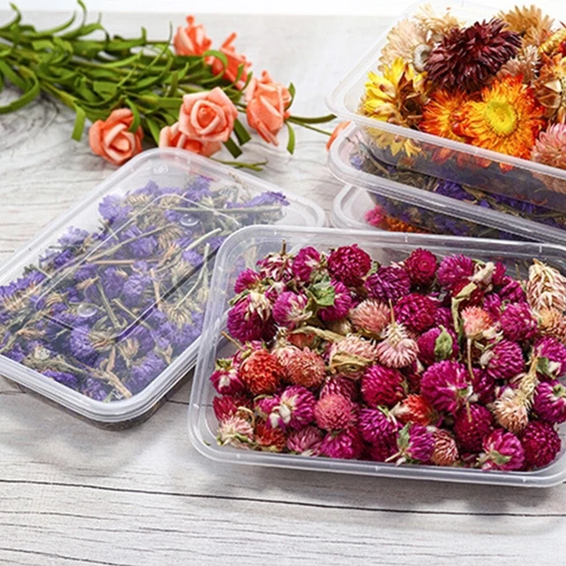 Exquisita caja de flores secas para creaciones epoxi de resina y fabricación de velas