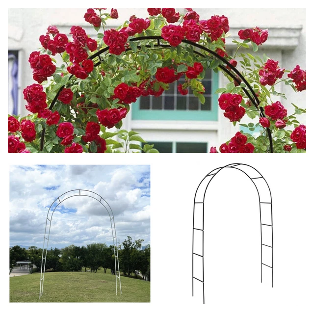 Hardys Black Etal Garden Arch - Arbour Trellis For Clibing Plants, Roses - Indoor &ap; Outdoor