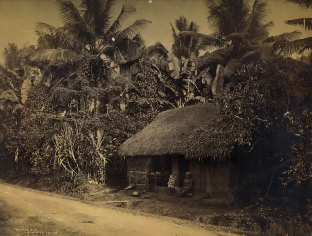 Photos Scowen Albumen India Ceylon Colombo to The