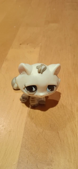 Petshop Chat De Gouttière 563