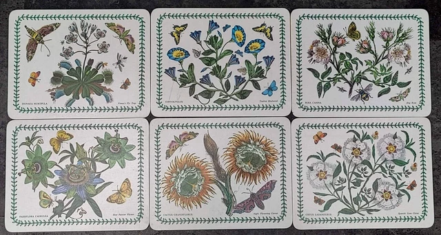 Seis manteles de melamina rectangulares de jardín botánico