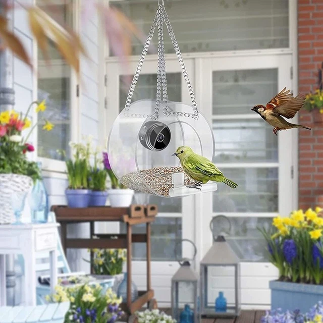 Fournitures pour oiseaux Mangeoire intelligente pour oiseaux Avec caméra