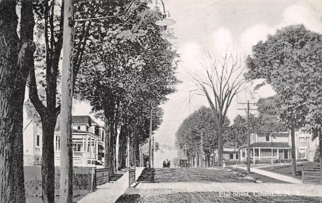 Cobleskill NY Wide, Dirt Elm Street~Horse & Buggy & Wagon~Big Homes c1910 Millar