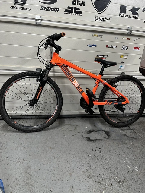 DIAMOND BACK HYRAX 24” Youth Kids Mountain Bike MTB