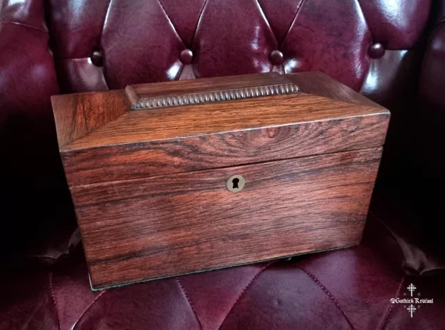 Antique 19th Century Rosewood Sarcophagus Tea Caddy Storage Box,