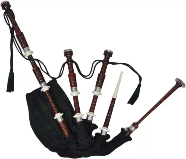 100% Tuneable Scottish Great Highland Bagpipe - Rosewood Red Haif Silver Mounts